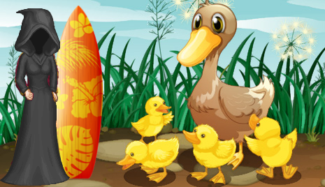 &p=duckblaster